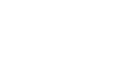 WiiLink Logo